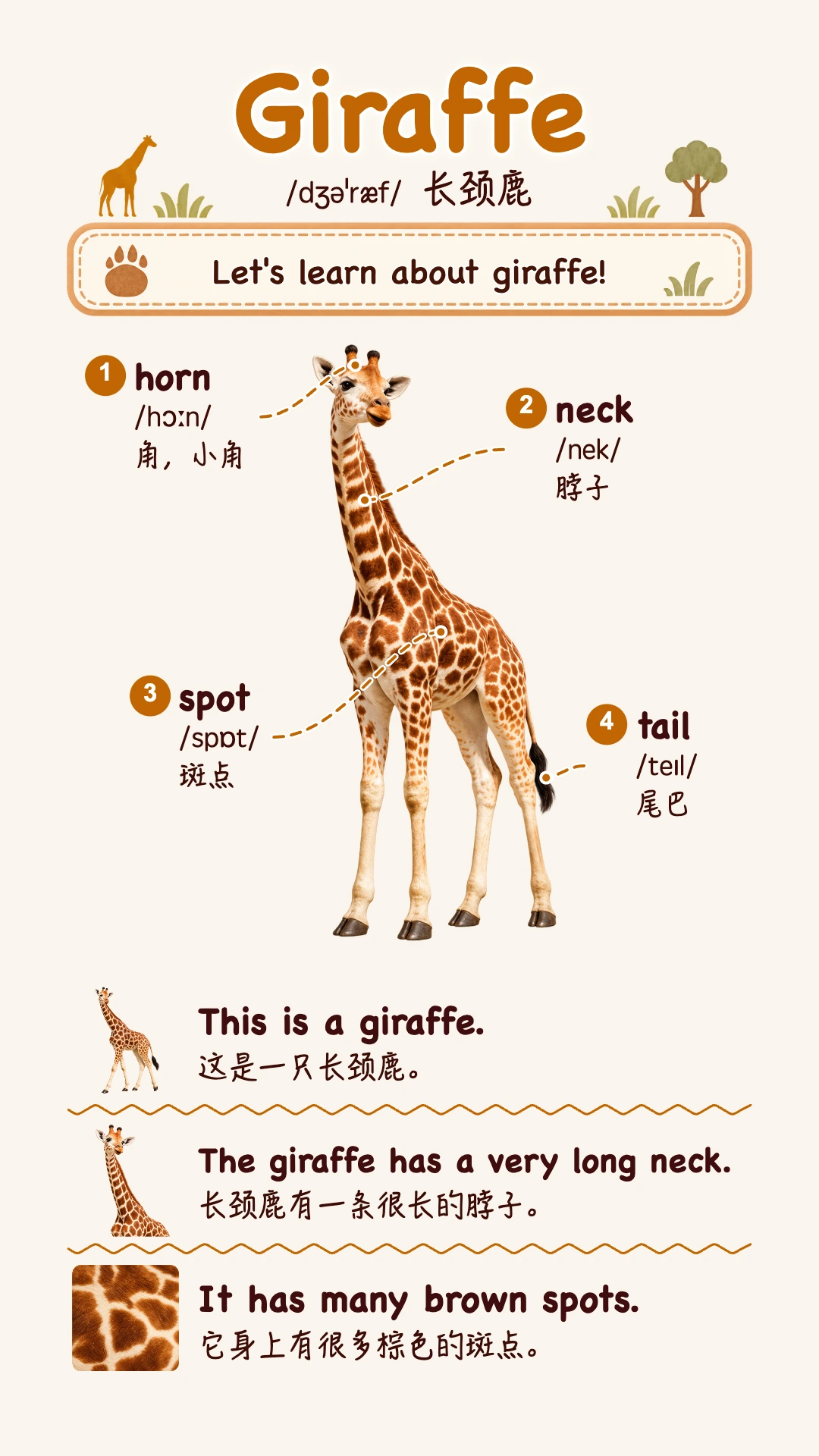 Giraffe
